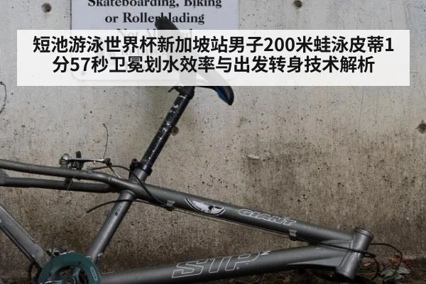 短池游泳世界杯新加坡站男子200米蛙泳皮蒂1分57秒卫冕划水效率与出发转身技术解析